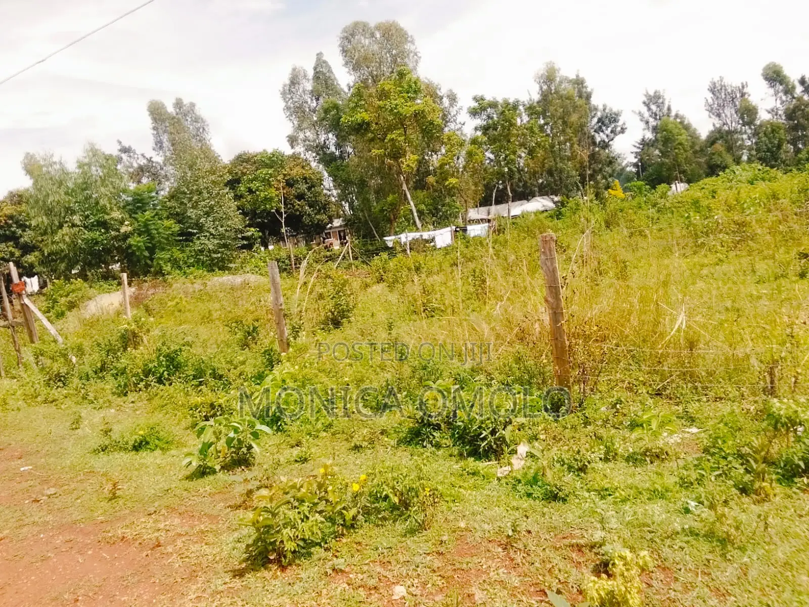 Land on Sale