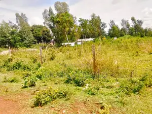 Land on Sale