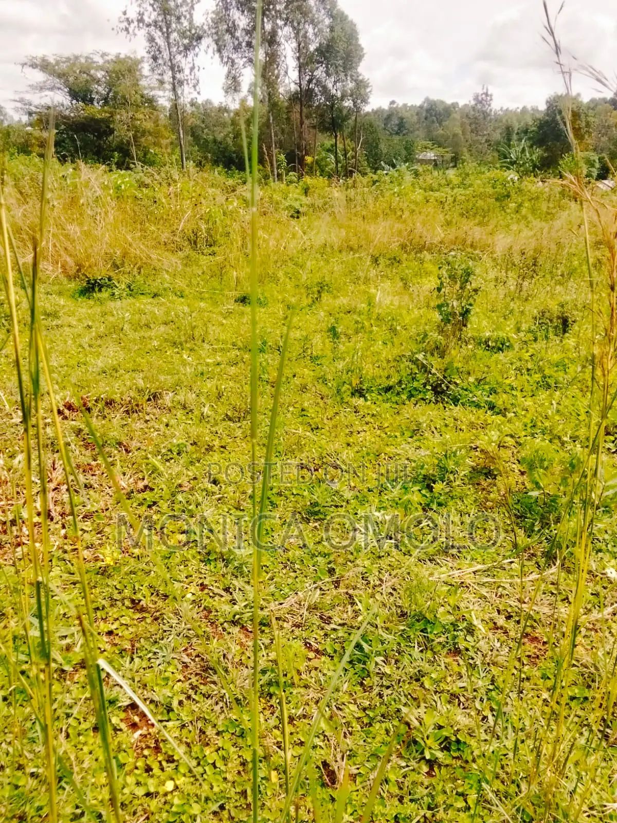 Land on Sale