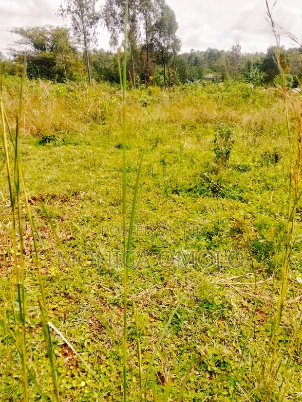 Land on Sale - thumbnail 7