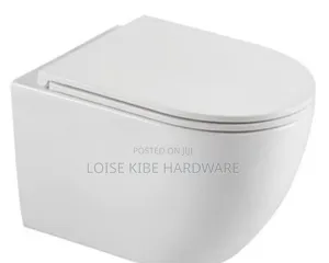 Morden Wall Hung Toilet Available