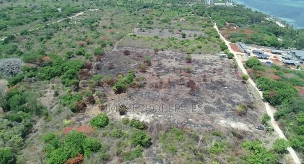 1⁄2 Acre Plots (10 Available) Beachfront Plots - main view