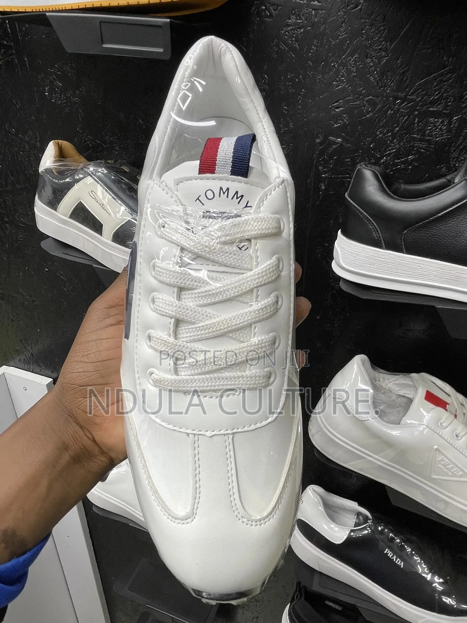 Tommy Sneakers