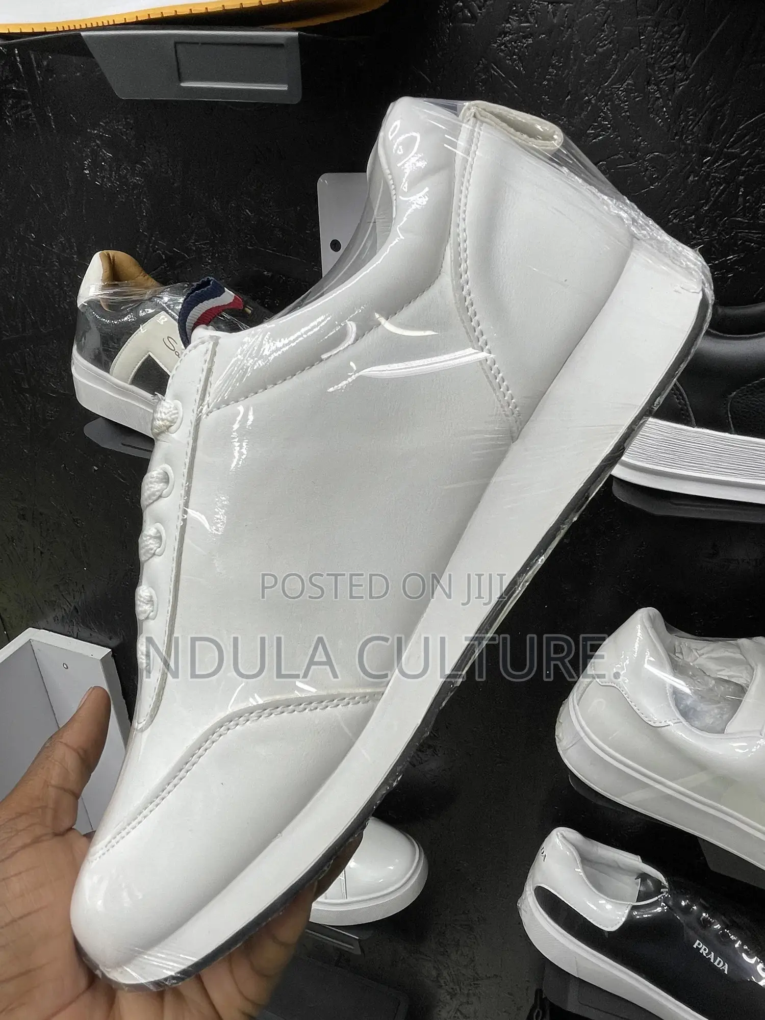 Tommy Sneakers