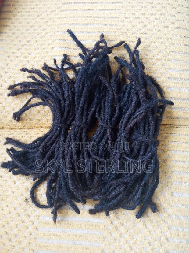 10 Year Well Maintained Natural Dreadlocks - main view