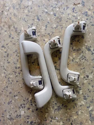 Premio/Caldina/Raum/Prado J120 Roof Handles