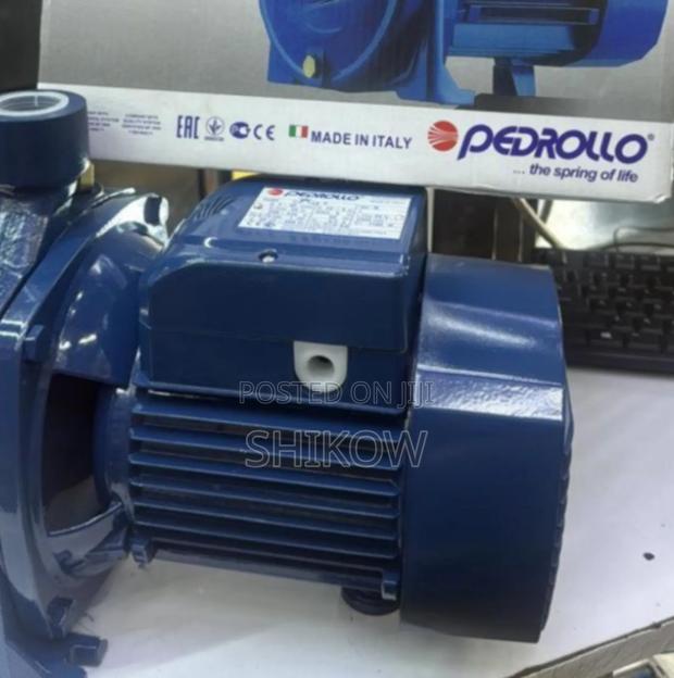 Reliable 1hp Pedrollo Pump - main view