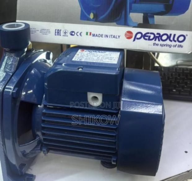 Professional 1hp Pedrollo Pump