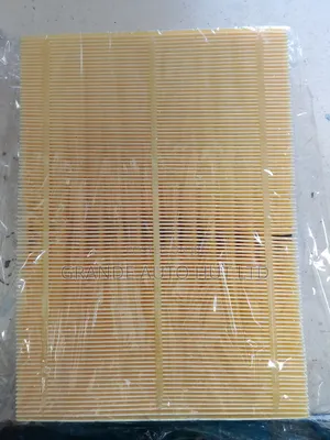 Air Filter Toyota Hilux Revo (Zyc Brand)