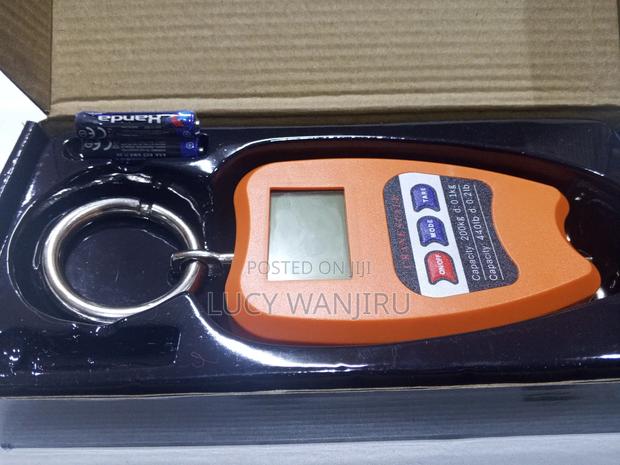 New Reliable 200kg Crane Scale