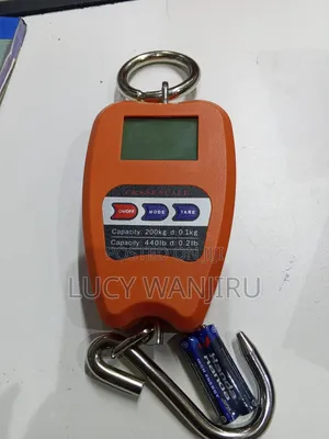 Professional Mini Crane Scale