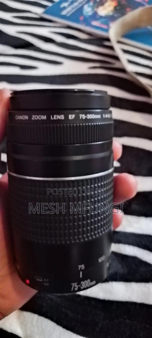 Canon Eos 600d DSLR Camera + Ef 75-300mm Zoom Lens - thumbnail 7