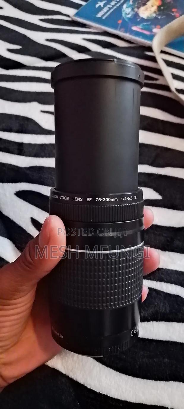 Canon Eos 600d DSLR Camera + Ef 75-300mm Zoom Lens - thumbnail 9
