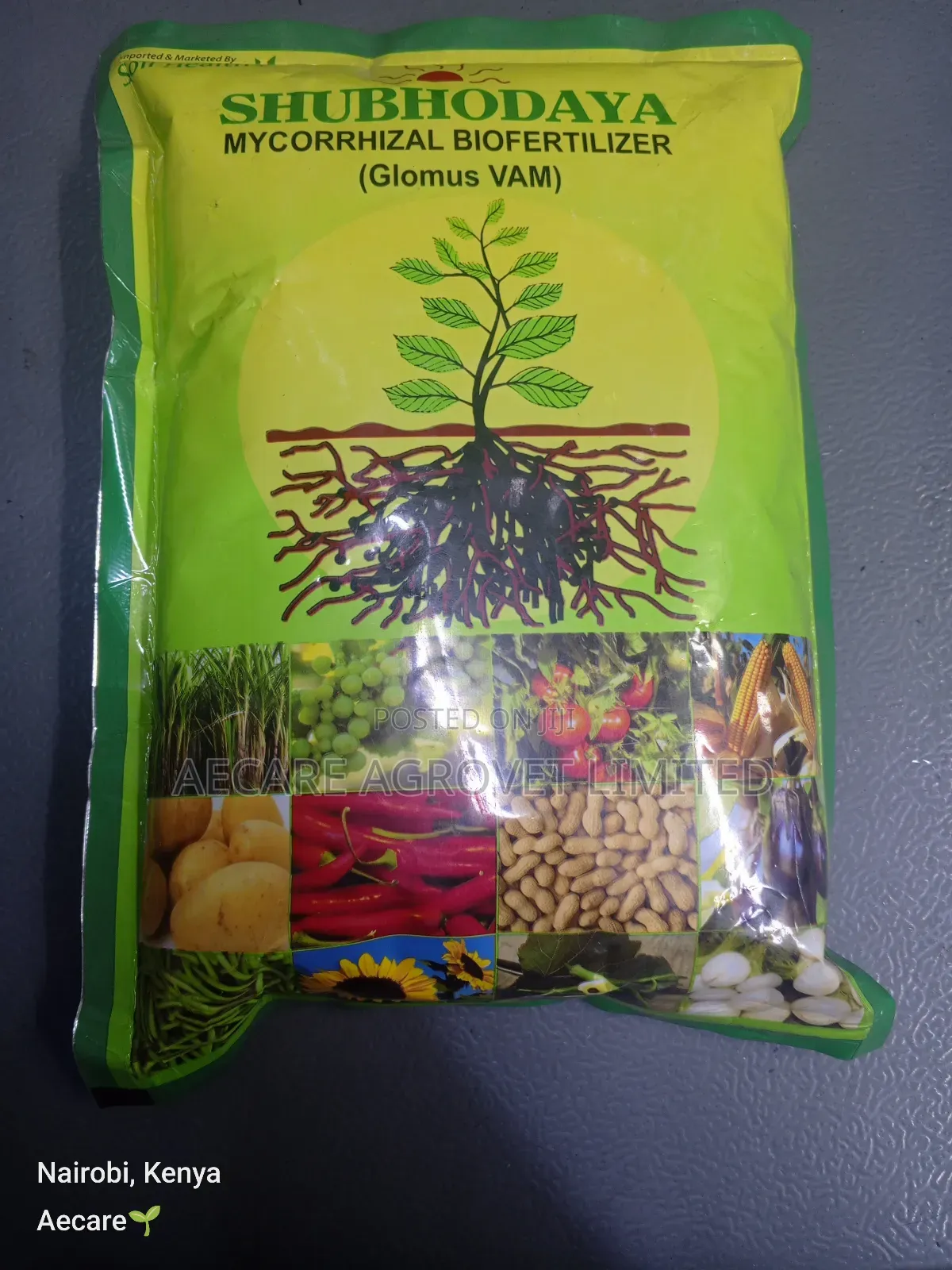 Shubhodaya Mycorrhizal Bio Fertilizer (Glomus Vam) 1kg