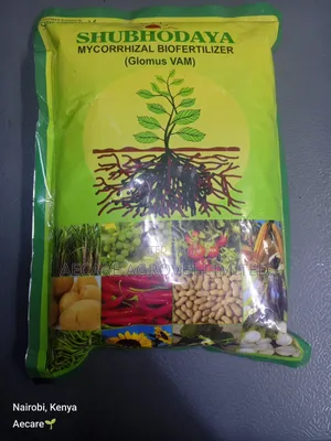 Shubhodaya Mycorrhizal Bio Fertilizer (Glomus Vam) 1kg