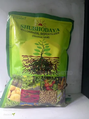Shubhodaya Mycorrhizal Bio Fertilizer (Glomus Vam) 1kg