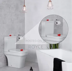 Toilet Press Button
