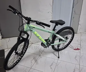 Mountain Bike With Mechanical Disc Brakes- Size 24