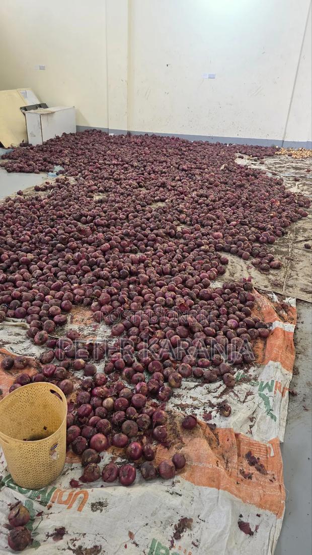 Onions on Sale