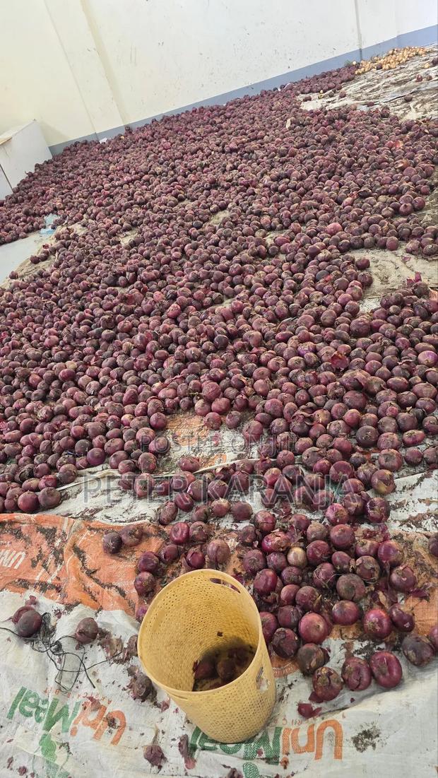 Onions on Sale - thumbnail 2