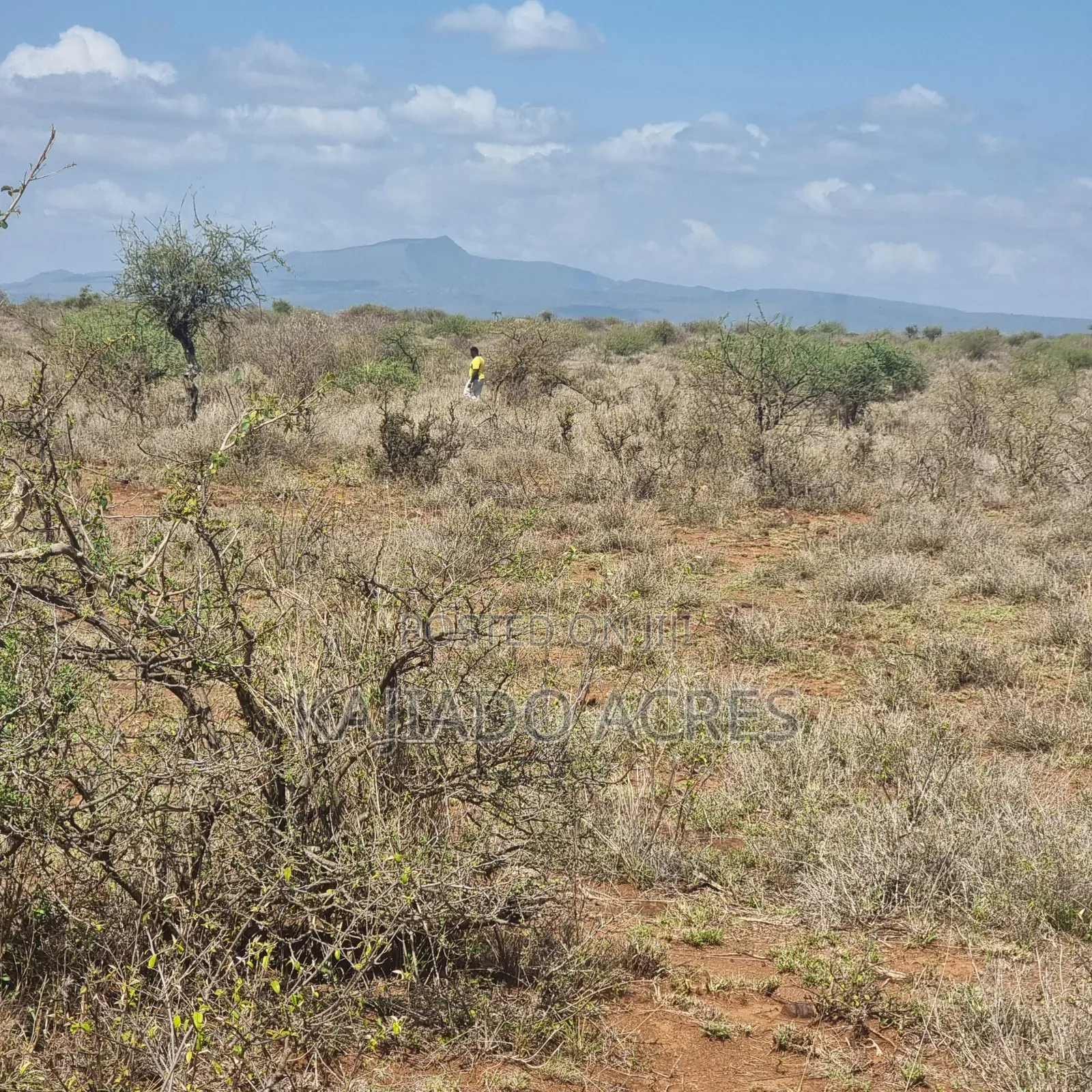 1 Acre 200 Metres Off Ngong Suswa 