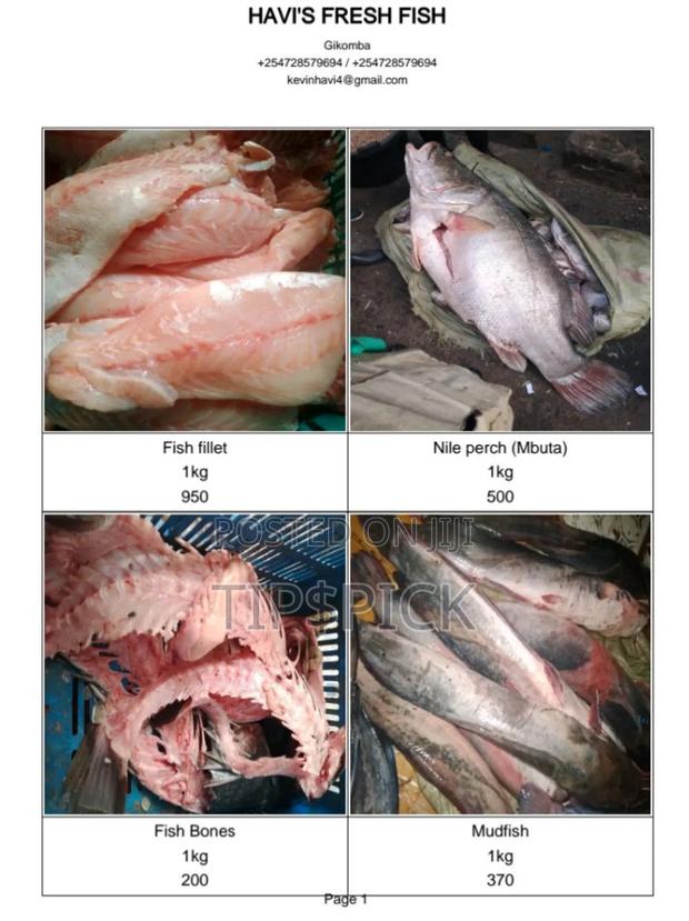 Fish At Wholesale Price