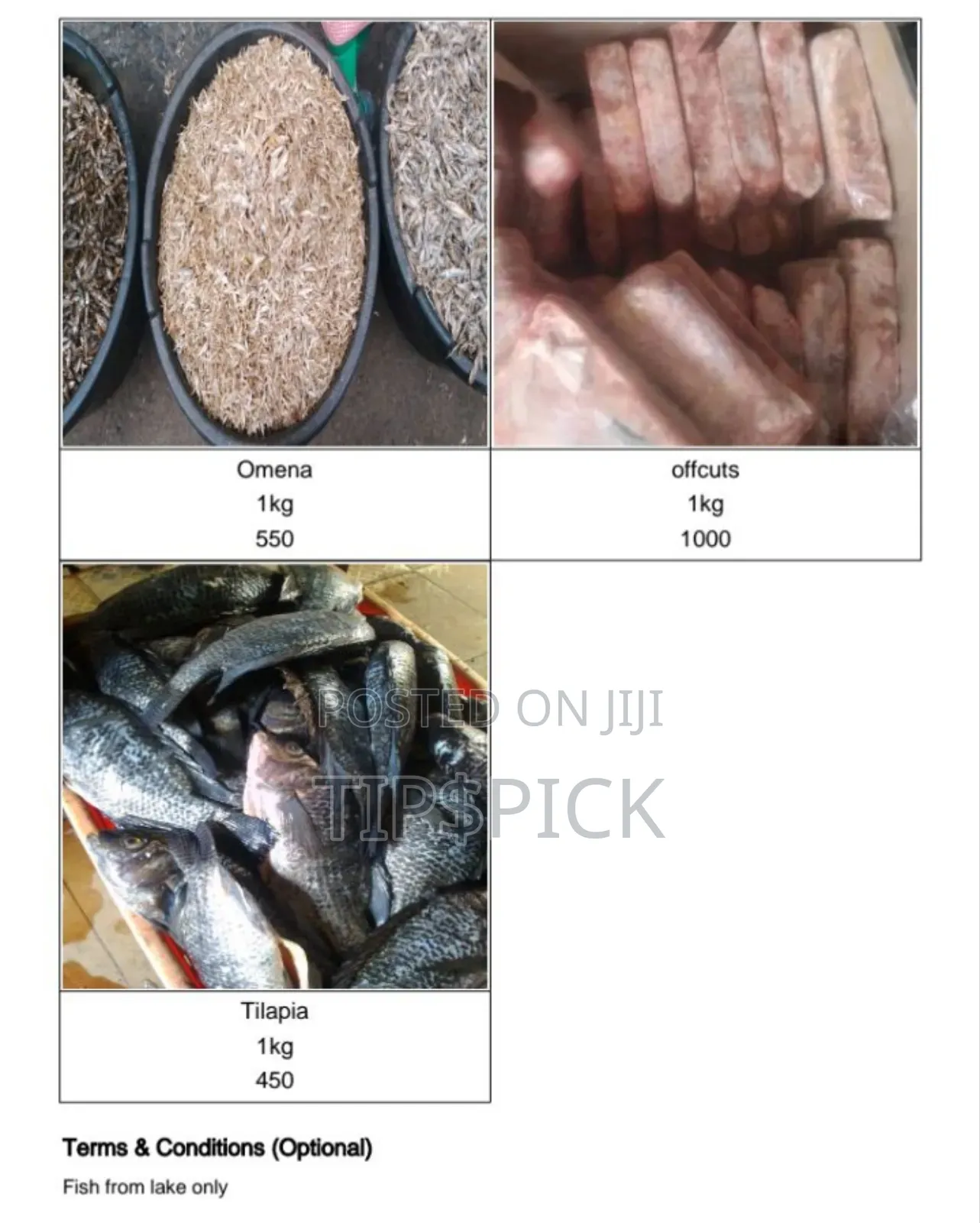 Fish At Wholesale Price
