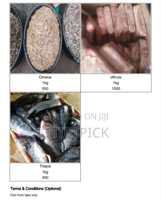 Fish At Wholesale Price - thumbnail 2