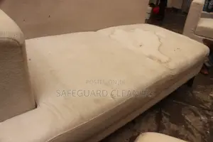 Safeguard Cleaning Services