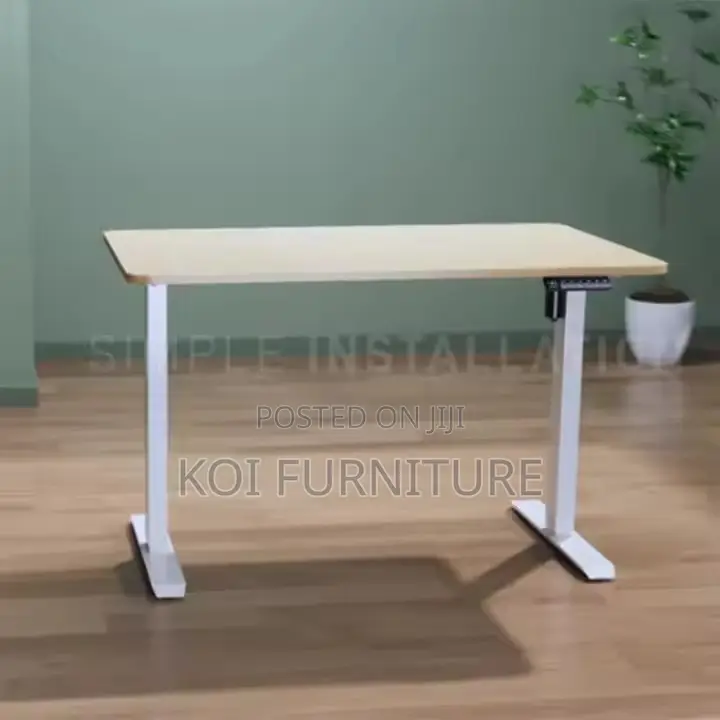 Office Desk : 1.2m Height Adjustable Standing Desk