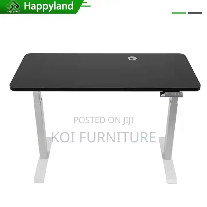 Office Desk : 1.2m Height Adjustable Standing Desk