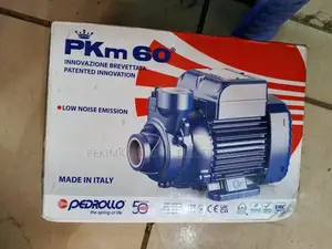 Pedrollo Boster Pump