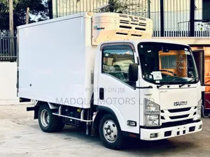 Isuzu Elf Truck