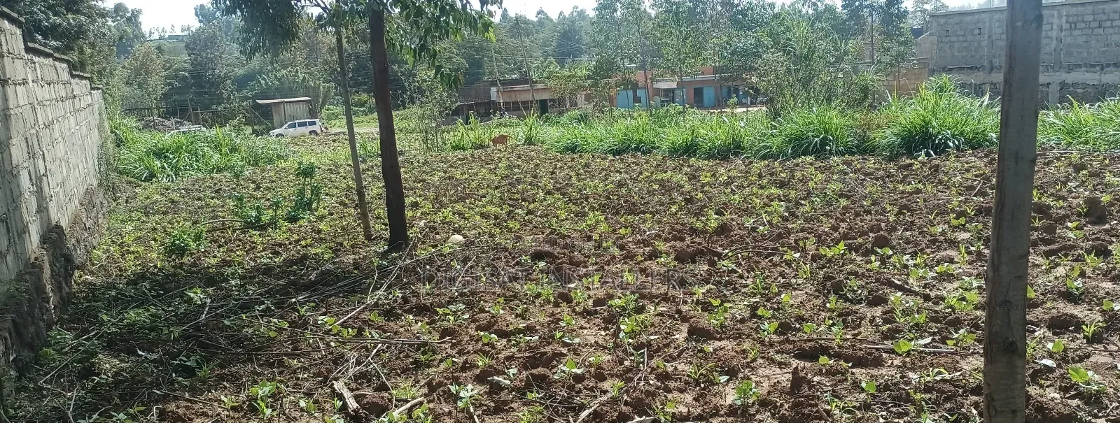 100*100 Plot for Sale in Lussigetti, Kikuyu