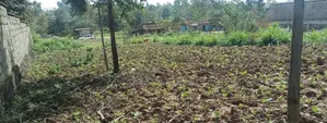 100*100 Plot for Sale in Lussigetti, Kikuyu