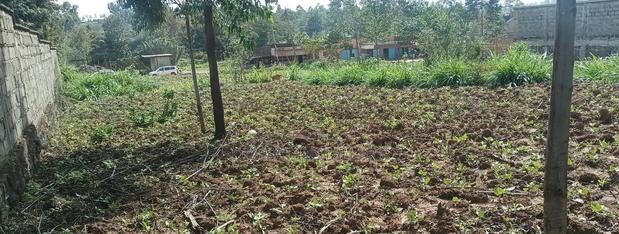 100*100 Plot for Sale in Lussigetti, Kikuyu - thumbnail 3