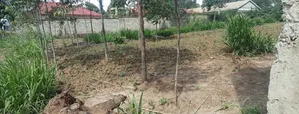 100*100 Plot for Sale in Lussigetti, Kikuyu