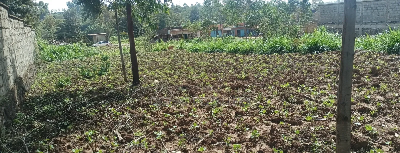 100*100 Plot for Sale in Lussigetti, Kikuyu
