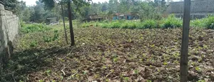 100*100 Plot for Sale in Lussigetti, Kikuyu