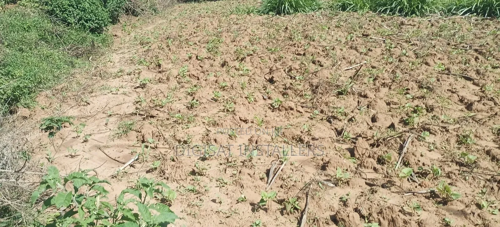 100*100 Plot for Sale in Lussigetti, Kikuyu