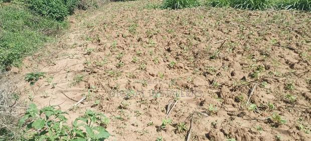 100*100 Plot for Sale in Lussigetti, Kikuyu - thumbnail 6