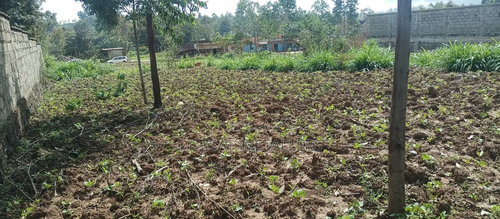 100*100 Plot for Sale in Lussigetti, Kikuyu