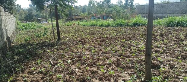 100*100 Plot for Sale in Lussigetti, Kikuyu - thumbnail 7