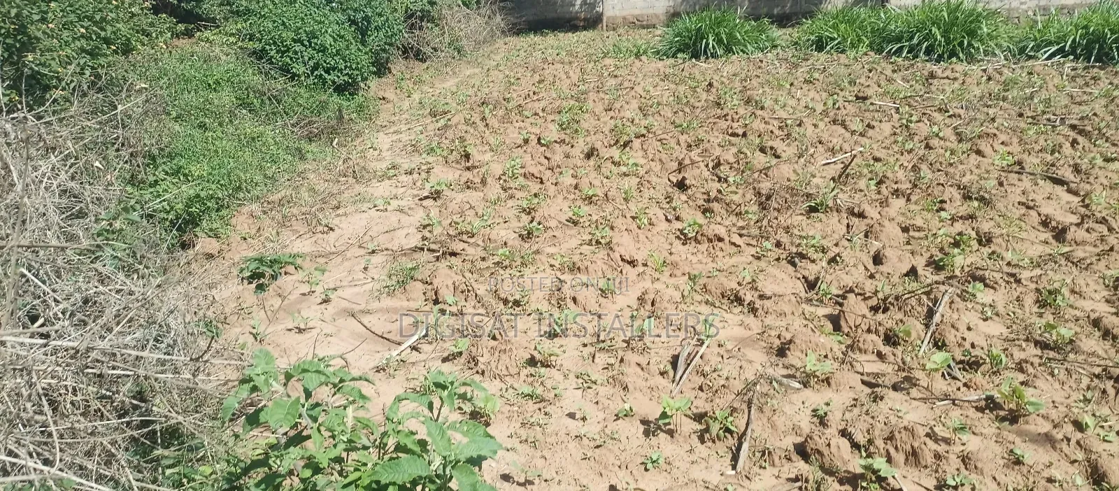 100*100 Plot for Sale in Lussigetti, Kikuyu