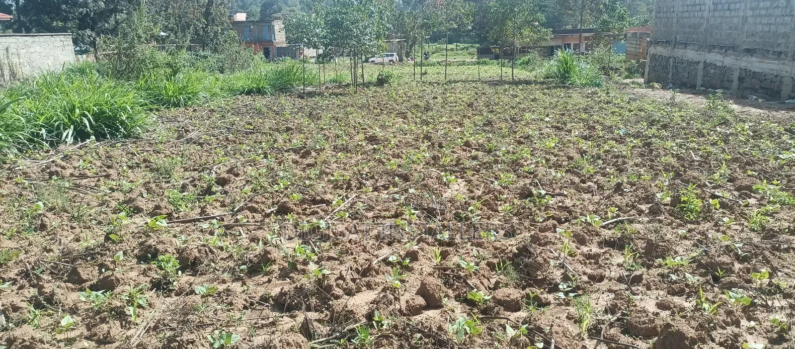 100*100 Plot for Sale in Lussigetti, Kikuyu