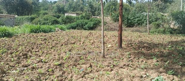 100*100 Plot for Sale in Lussigetti, Kikuyu - thumbnail 11