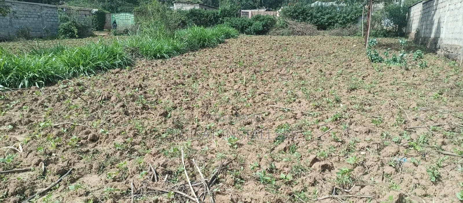 100*100 Plot for Sale in Lussigetti, Kikuyu