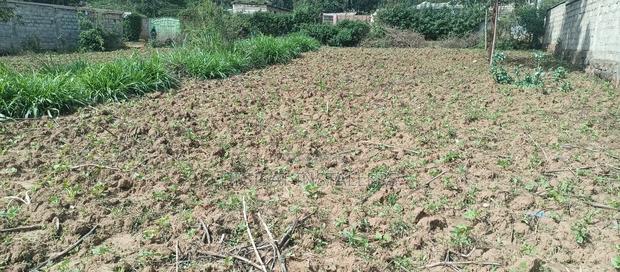 100*100 Plot for Sale in Lussigetti, Kikuyu - thumbnail 12