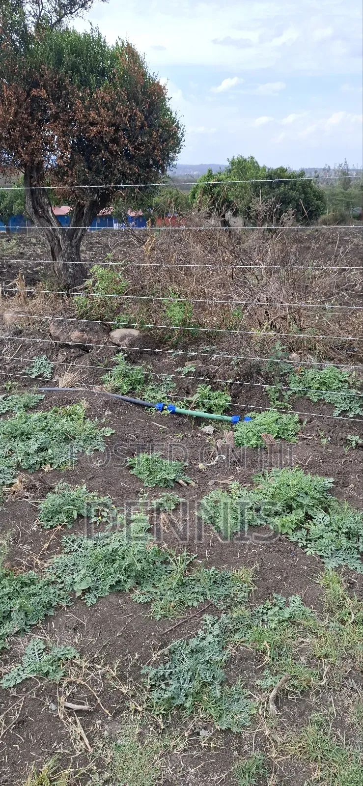 Distress Sale. Must Sell. Quarter 1⁄4 Acre Plot for Sale in Kiserian