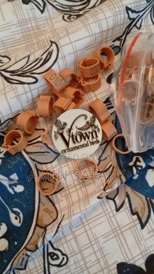 Pegion Rings - thumbnail 2